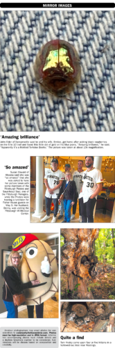 Mirror Images-Aug. 22-23, 2026